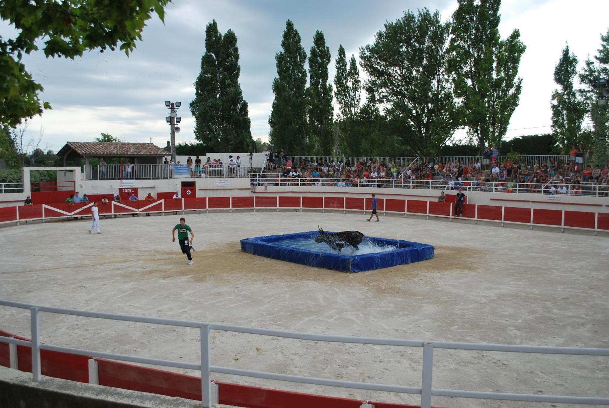 Villa La Cigale, Maussane Les Alpilles Εξωτερικό φωτογραφία